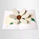 Magnolia POP-UP CARD